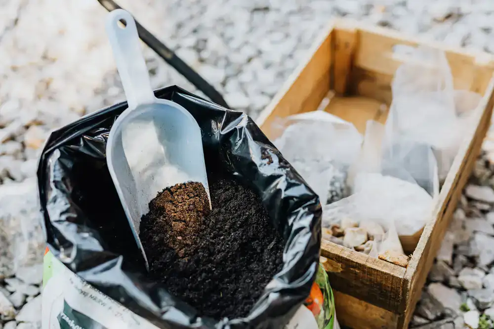 Compostable mailing bag resting on natural soil and green leaves